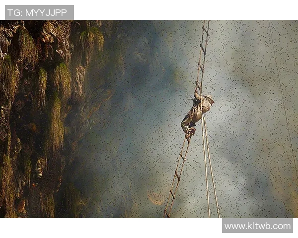 重庆攀岩队中路突破之路探索与发展全景解析 重庆攀岩队中路突破之路探索与发展全景解析