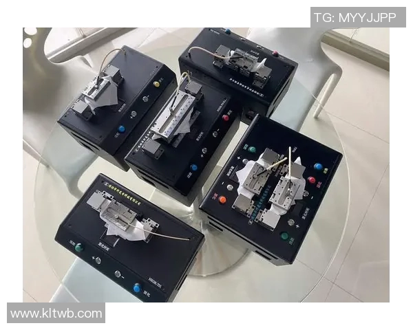 南京飞盘队防守革新之路探索与实践分析